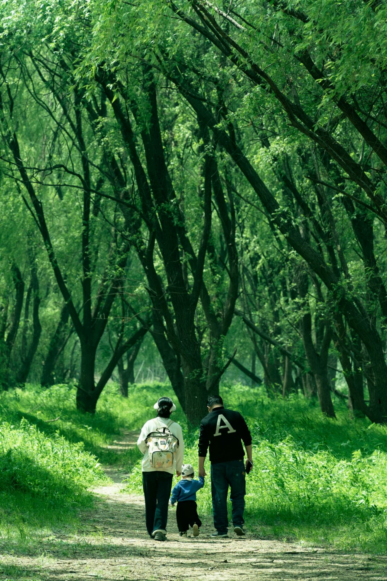 Prelekcje naukowe i rozmowy